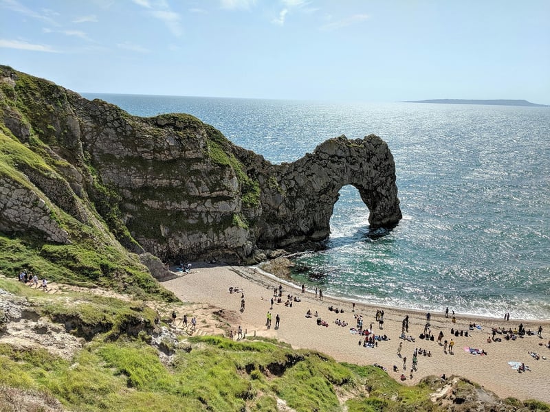 Dinosaur Coast